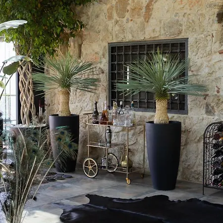 Castello Del Cielo Villa Serik